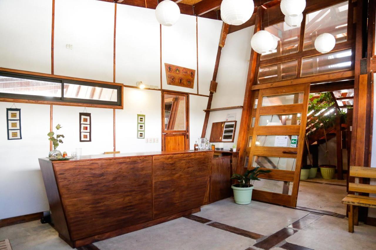 Mi Lodge Las Trancas Hotel & Spa Dış mekan fotoğraf